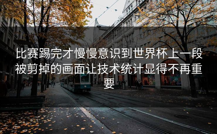 比赛踢完才慢慢意识到世界杯上一段被剪掉的画面让技术统计显得不再重要